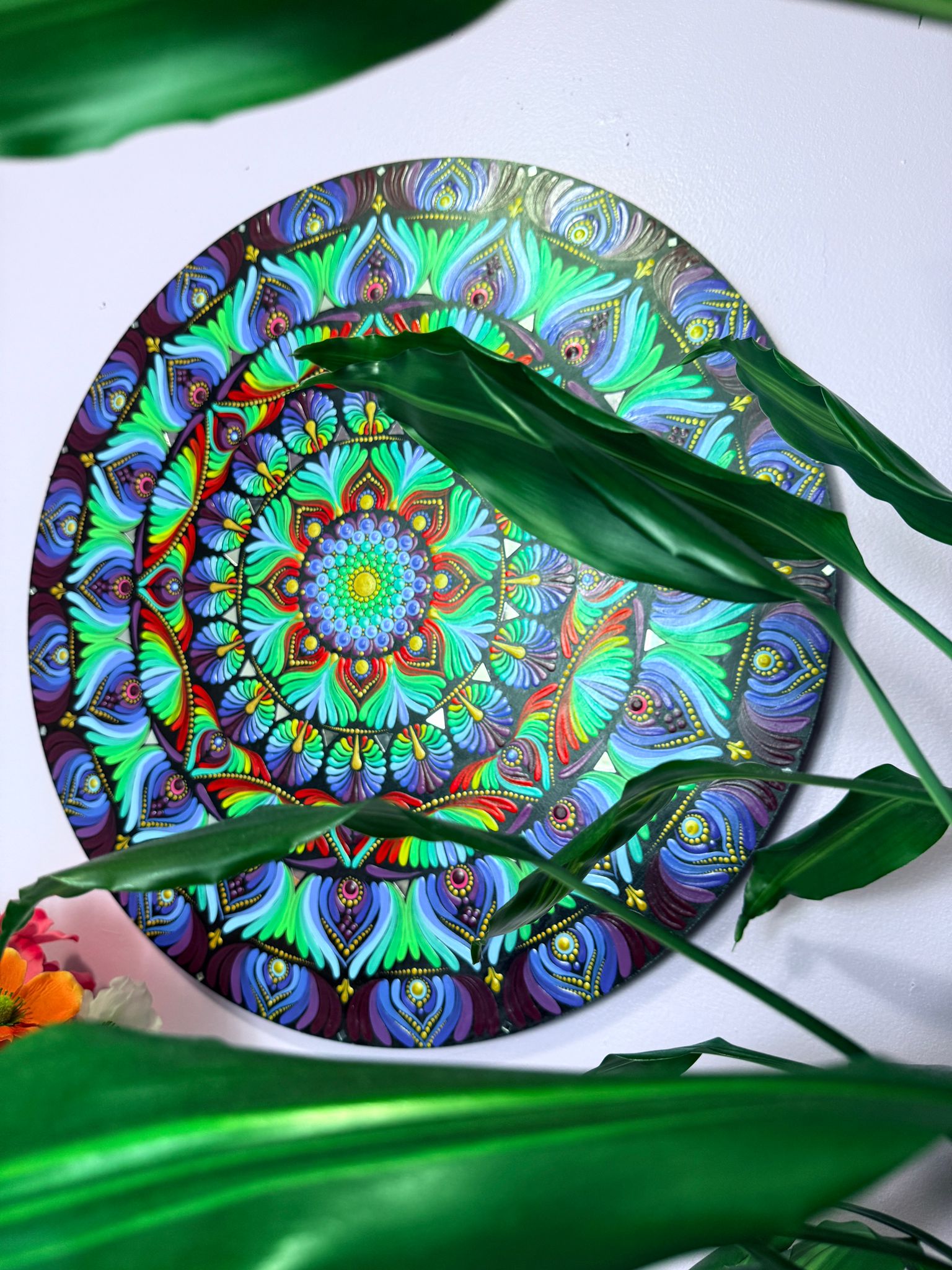 “Peacock bloom”